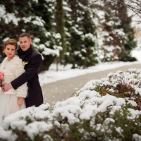 Сказочная зимняя свадьба Андрея и Любы